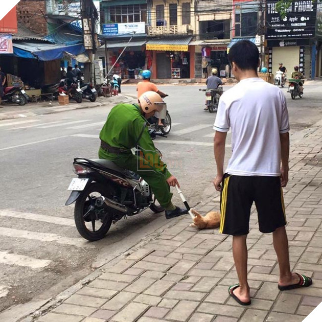anh công an trêu mèo ven đường