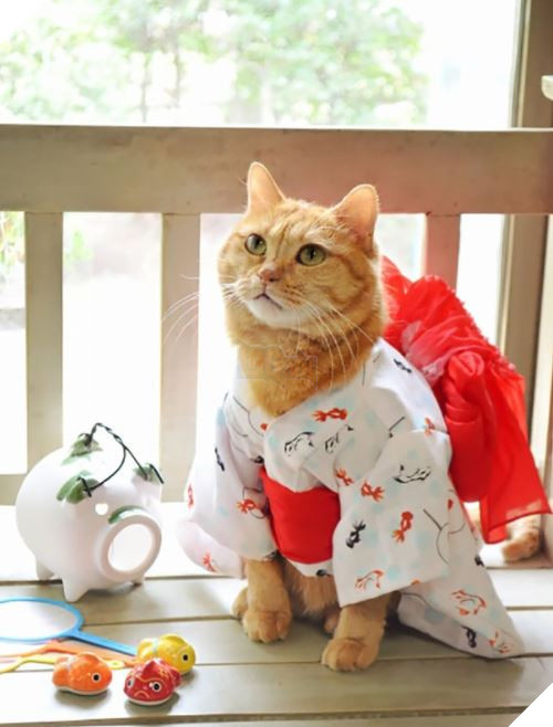 cats in kimonos 2