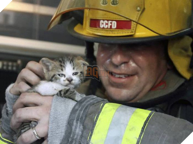 17 khoảnh khắc đầy xúc cảm của những người lính cứu hỏa và động vật - Ảnh 1.