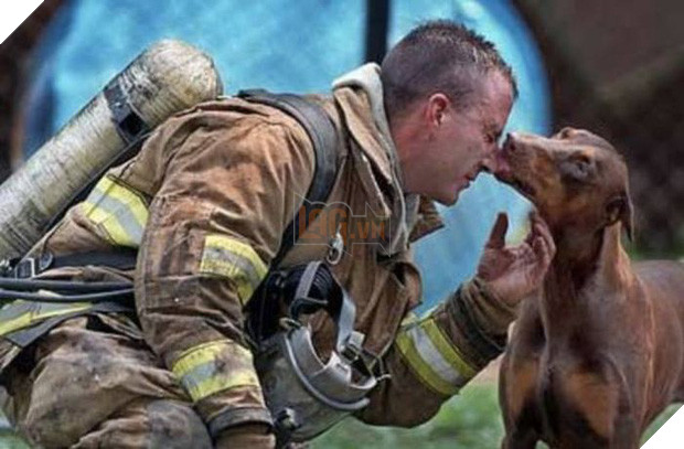 17 khoảnh khắc đầy xúc cảm của những người lính cứu hỏa và động vật - Ảnh 9.