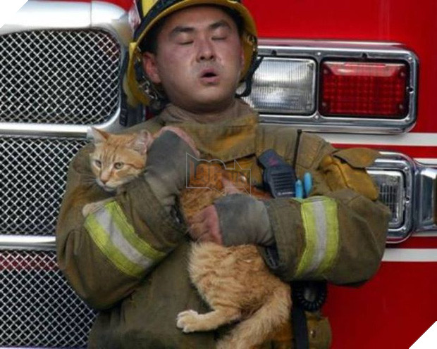 17 khoảnh khắc đầy xúc cảm của những người lính cứu hỏa và động vật - Ảnh 13.