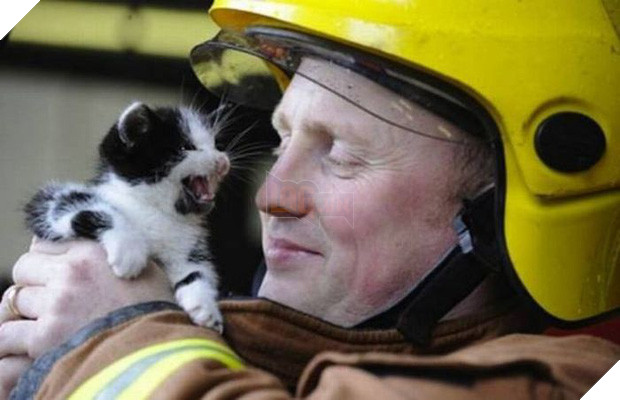 17 khoảnh khắc đầy xúc cảm của những người lính cứu hỏa và động vật - Ảnh 25.