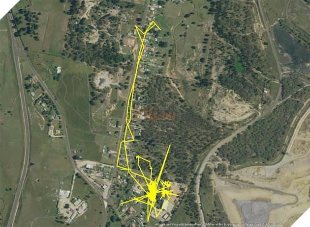 Gắn thiết bị GPS vào con mèo, người đàn ông choáng khi xem kết quả 2