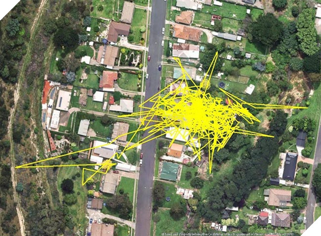 Gắn thiết bị GPS vào con mèo, người đàn ông choáng khi xem kết quả 6