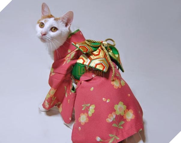 cats in kimonos 12