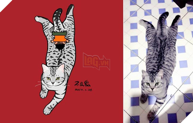 ảnh mèo siêu cấp dễ thương