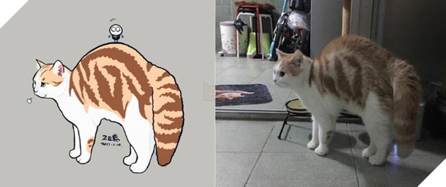 ảnh mèo siêu cấp dễ thương