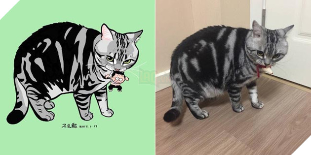 ảnh mèo siêu cấp dễ thương