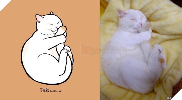 ảnh mèo siêu cấp dễ thương