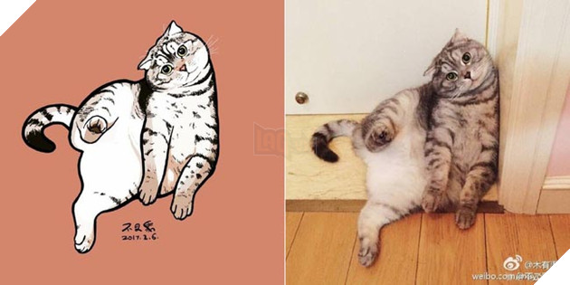 ảnh mèo siêu cấp dễ thương