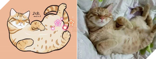 ảnh mèo siêu cấp dễ thương