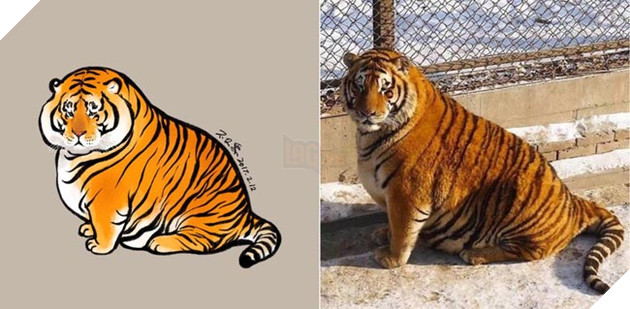 ảnh mèo siêu cấp dễ thương