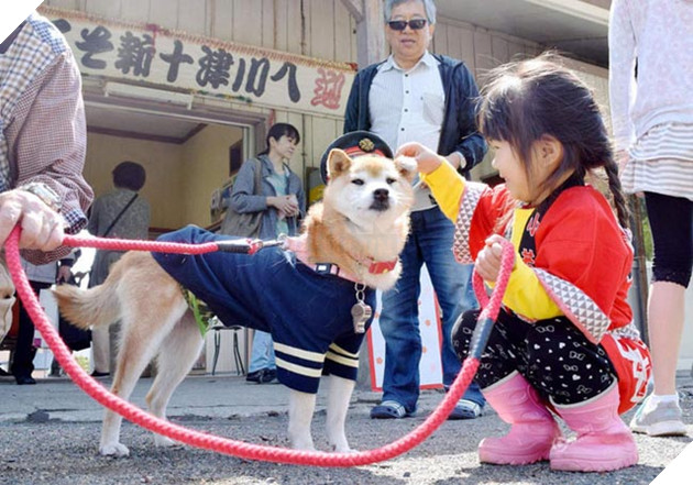 chó mèo làm trưởng ga tàu điện