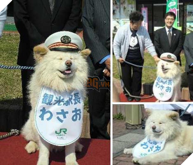 chó mèo làm trưởng ga tàu điện