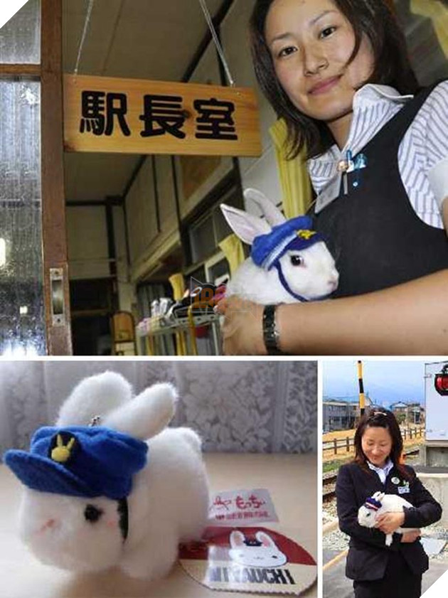 chó mèo làm trưởng ga tàu điện