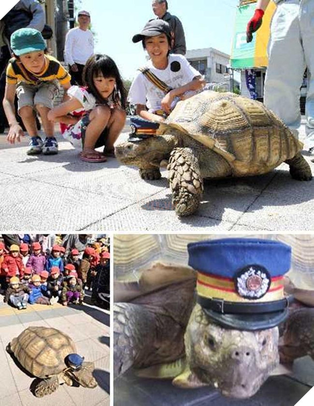 chó mèo làm trưởng ga tàu điện