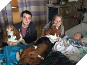 Cún cưng quyết không rời giường bệnh của cô chủ đang hấp hối 3