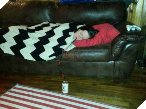 18 hình ảnh vừa nhìn qua đã thấy chán hết cả người với đội lười - Ảnh 1.