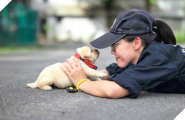 những chú chó đặc điệm nhí