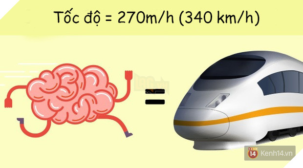 6 sự thật cực sốc về cơ thể người đảm bảo bạn chưa hề hay biết 3