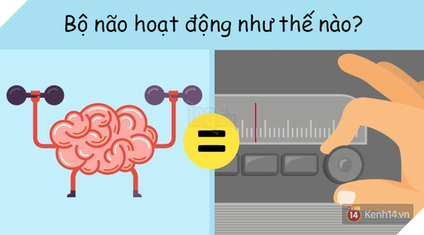 6 sự thật cực sốc về cơ thể người đảm bảo bạn chưa hề hay biết 4