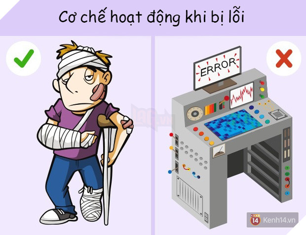 6 sự thật cực sốc về cơ thể người đảm bảo bạn chưa hề hay biết 6