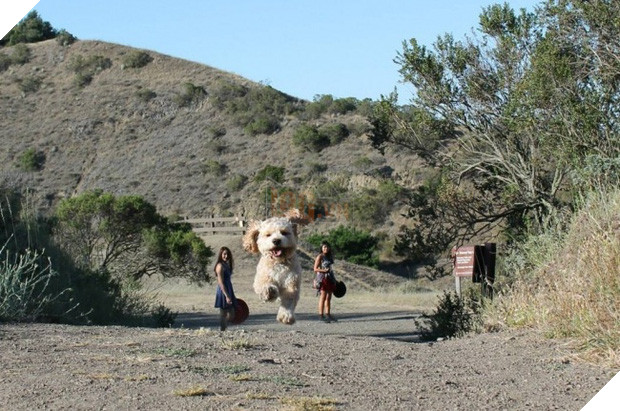 15 bức hình khiến bạn ngỡ như hiểu mà thực ra không hiểu, mông lung như một trò đùa - Ảnh 5.