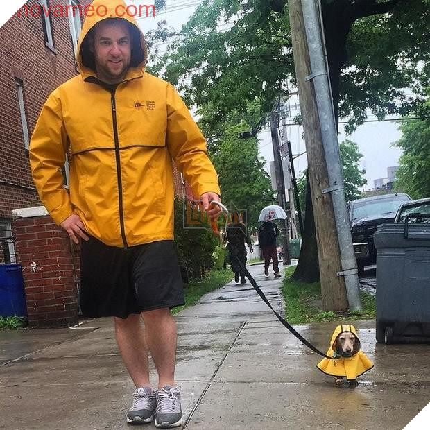 Dừng chờ đèn đỏ, quay sang bên người cạnh, tôi được một phen ôm bụng cười vì hình ảnh này 5