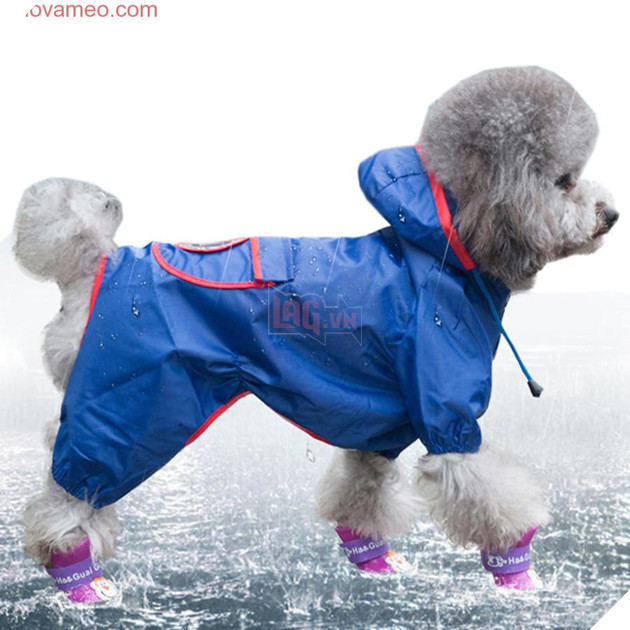 Dừng chờ đèn đỏ, quay sang bên người cạnh, tôi được một phen ôm bụng cười vì hình ảnh này 8