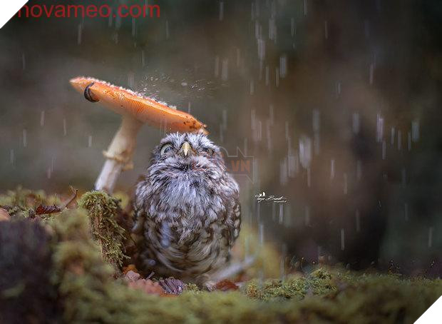 Dừng chờ đèn đỏ, quay sang bên người cạnh, tôi được một phen ôm bụng cười vì hình ảnh này 10