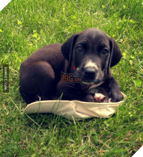 743a306fed6a46d3873140d50f249e79