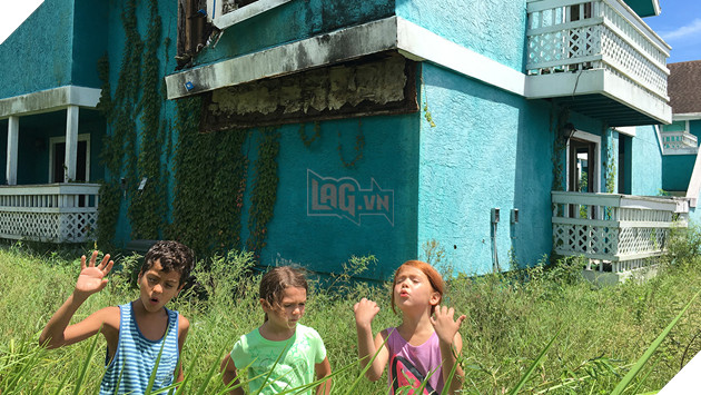 Oscar 2018: 15 ứng cử viên nặng ký cho tượng vàng Oscar Phim hay nhất 12