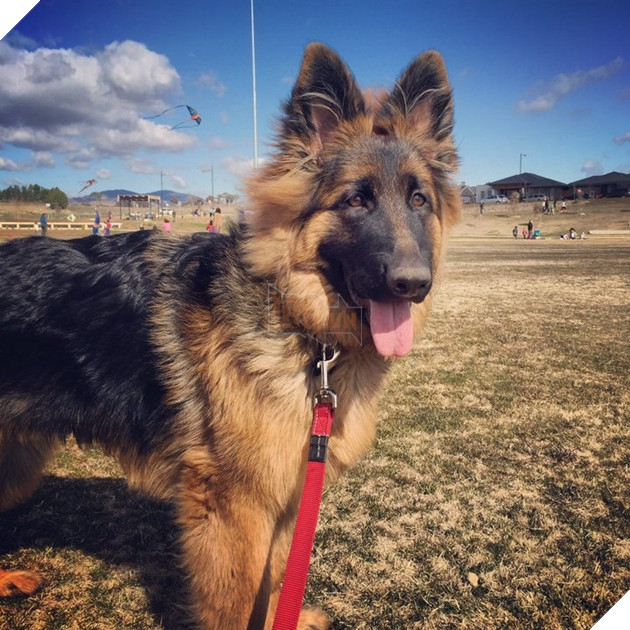 562128b51400002b003c86f0