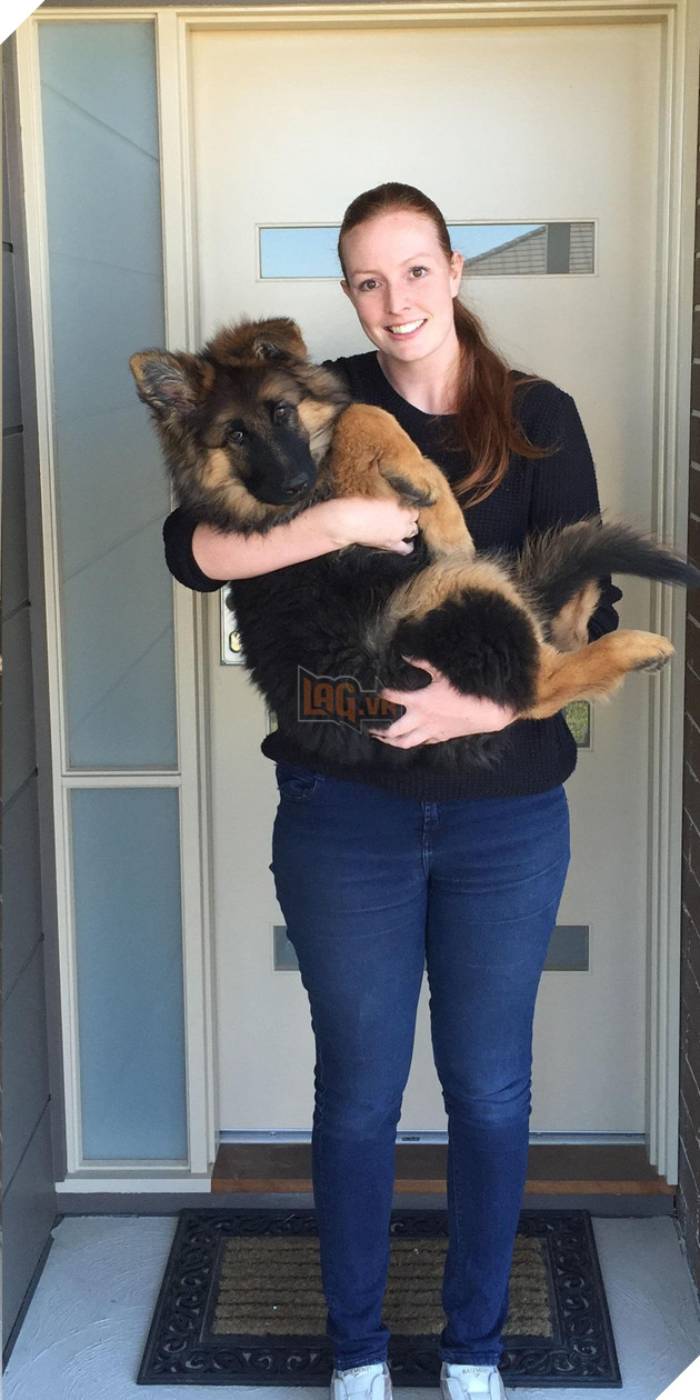 744acef0bd4a601d9be8aa1b9ee20d23