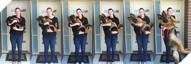 VJ5RTNv4zfoPptQB0orb_puppygrowth