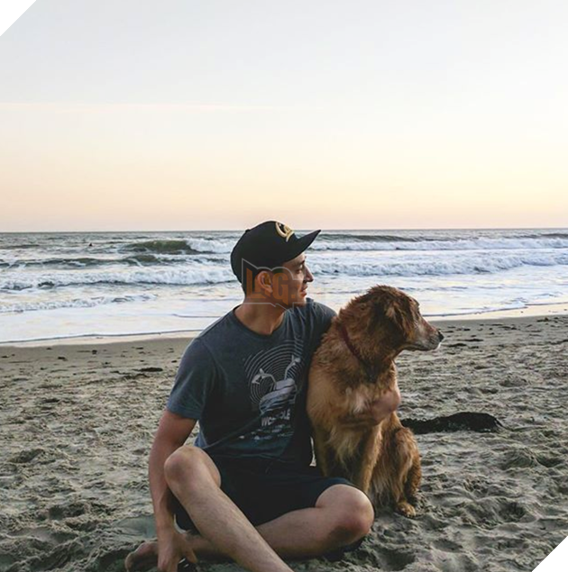 Chủ thì thầm bên tai chó vàng ‘Ta phải đi làm đây!’, phản ứng của nó cực ấm áp, làm tan chảy cư dân mạng 4