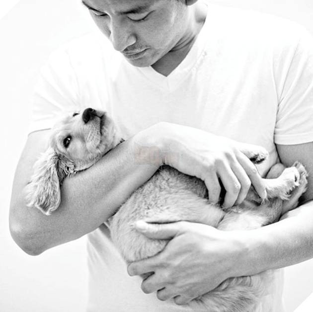 Chủ thì thầm bên tai chó vàng ‘Ta phải đi làm đây!’, phản ứng của nó cực ấm áp, làm tan chảy cư dân mạng 8