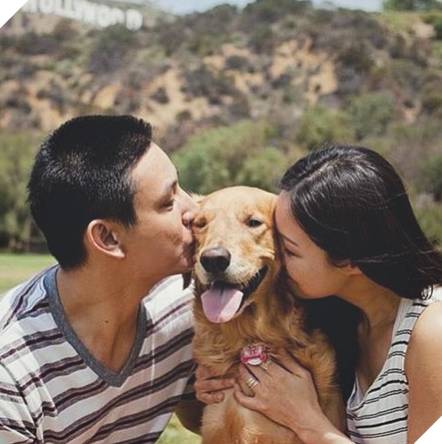 Chủ thì thầm bên tai chó vàng ‘Ta phải đi làm đây!’, phản ứng của nó cực ấm áp, làm tan chảy cư dân mạng 9