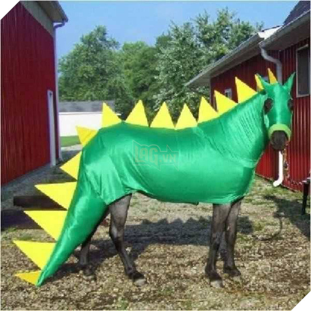 17 tiết mục cosplay khiến hội thú cưng ghét cay, ghét đắng chủ nhân - Ảnh 11.