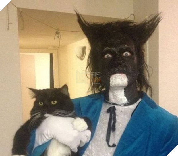 17 tiết mục cosplay khiến hội thú cưng ghét cay, ghét đắng chủ nhân - Ảnh 19.