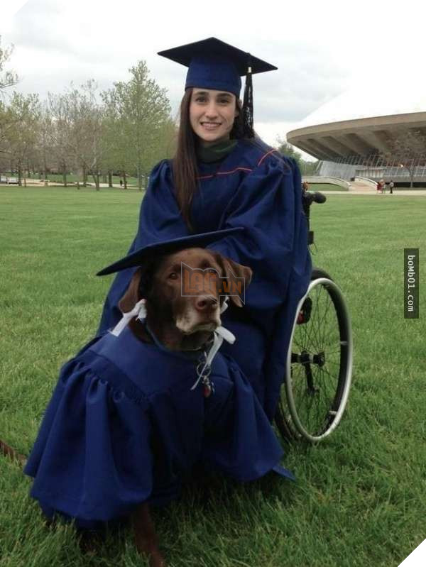 22 bức ảnh ấm áp giải thích vì sao bạn nên nuôi chó ngay bây giờ, #4 cùng chủ nhân đi khắp thế gian 7