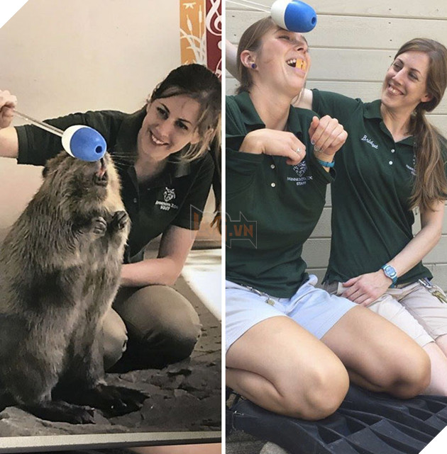 Zookeepers As Animals