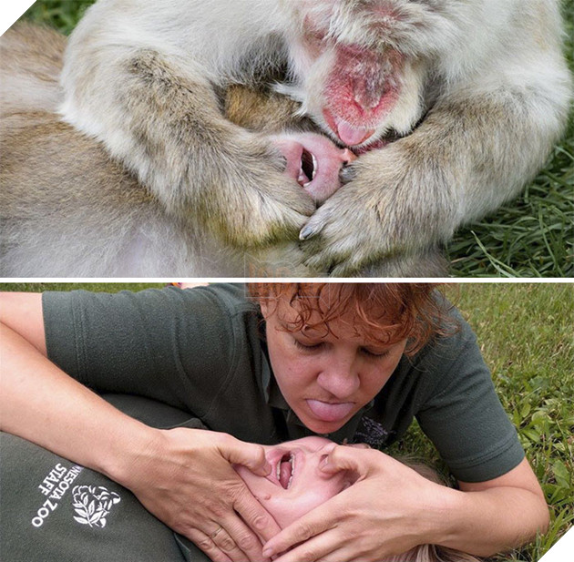 Zookeepers As Animals