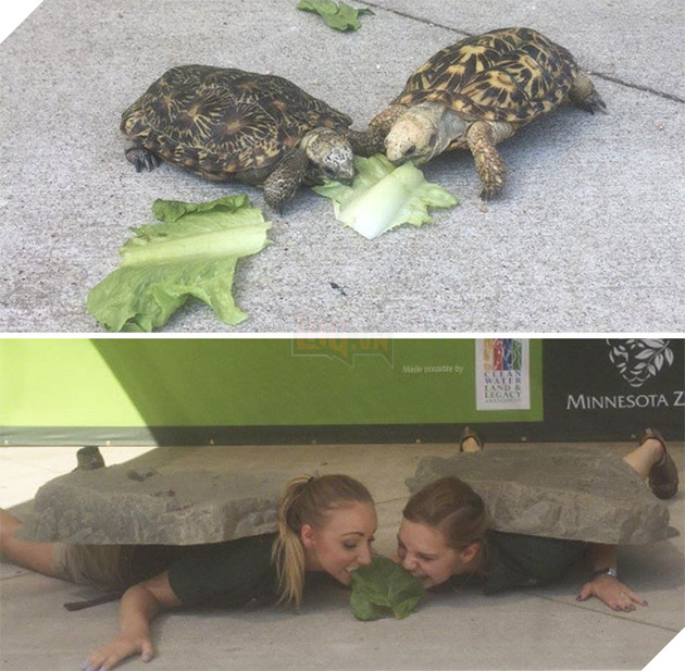 Zookeepers As Animals