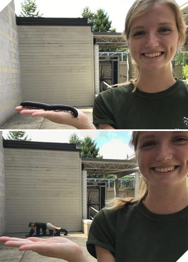 Zookeepers As Animals