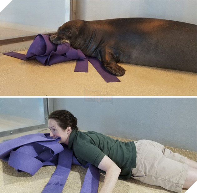 Zookeepers As Animals