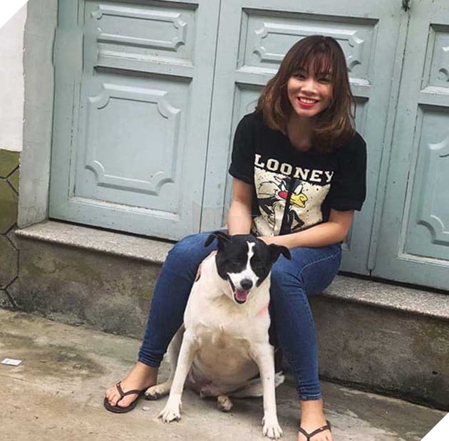 chú chó béo nhất sài gòn