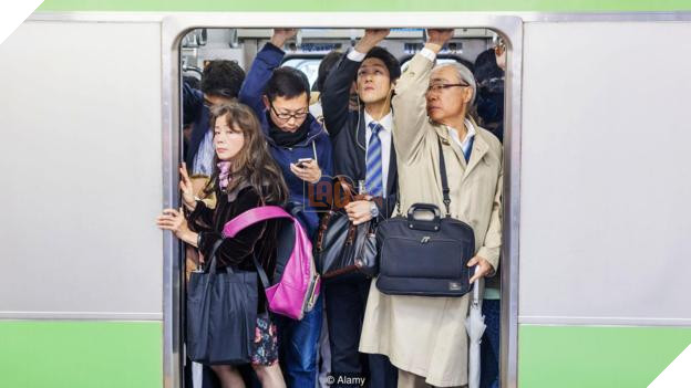 Ikigai: Quan niệm của người Nhật để cải thiện chất lượng cuộc sống cũng như công việc