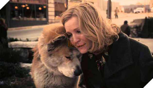 chú chó hachiko trung thành