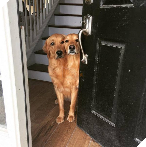 22 khoảnh khắc tình cờ trong cuộc sống khiến bạn lú lẫn không biết mình đang mơ hay tỉnh - Ảnh 3.